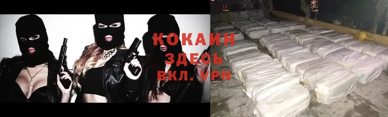 COCAIN VHQ Сертолово