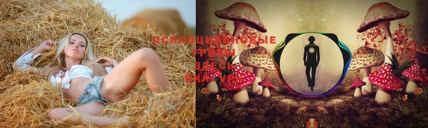 первитин Медногорск