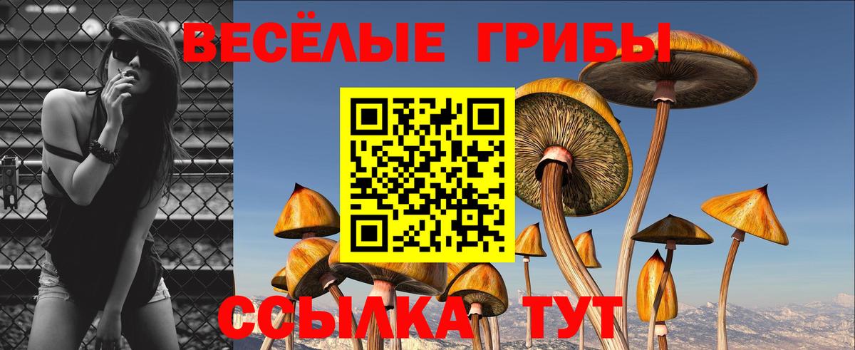 Сертолово  Галлюциногенные грибы прущие грибы  Вход с VPN 