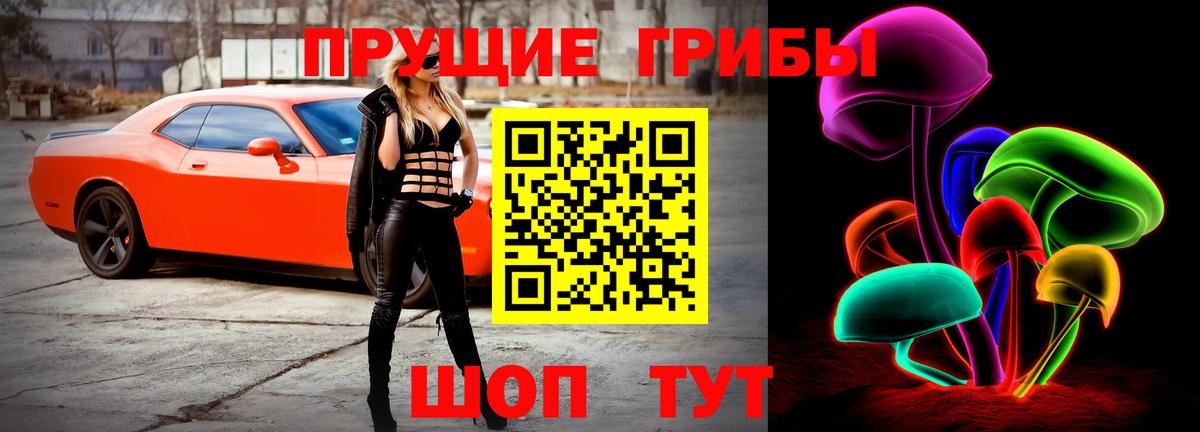 Галлюциногенные грибы MAGIC MUSHROOMS  Сертолово  Галлюциногенные грибы GOLDEN TEACHER 