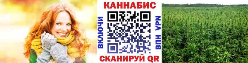 купить наркотик  Сертолово  МАРИХУАНА AK-47 